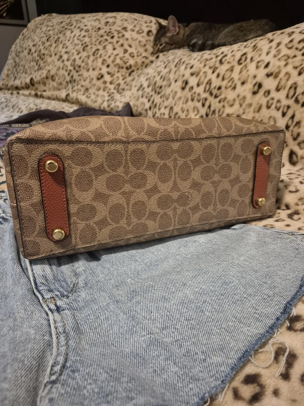 COACH Willow 30